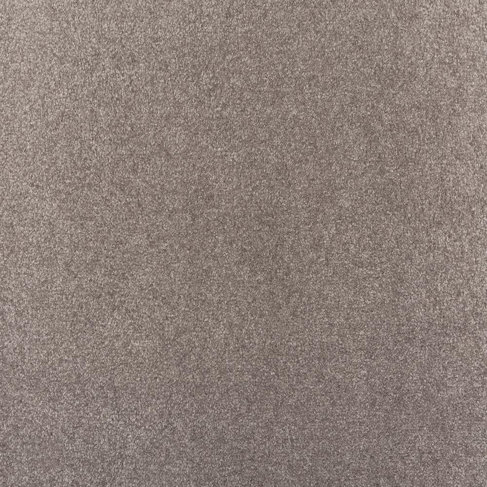 8 in. x 8 in. Texture Carpet Sample - Waking Up I - Color Storm Cloud price history on PriceWatchPro