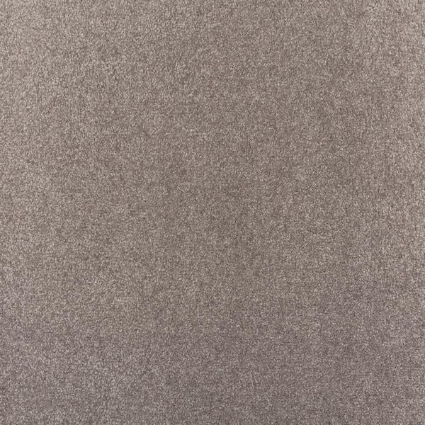8 in. x 8 in. Texture Carpet Sample - Waking Up I - Color Storm Cloud