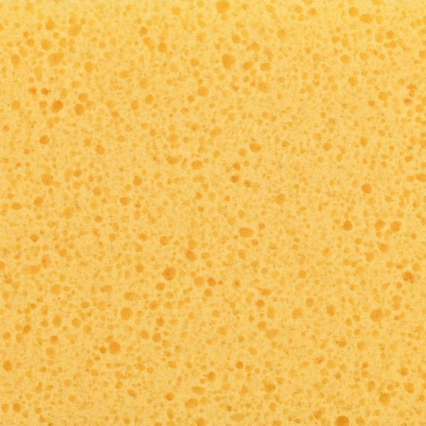 All Purpose Sponge (2-Pack)