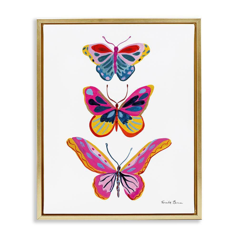 Small to Large Butterflies by Farida Zaman Gold Floater Frame Animal Graphic Art Print 31 in. x 25 in. price history on PriceWatchPro