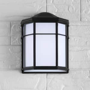 Henry Medium 9.7 in. Black/White Integrated LED Outdoor Frosted Acrylic/Metal Sconce