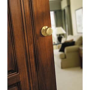 Juno Polished Brass Passage Hall/Closet Door Knob with Microban Antimicrobial Technology