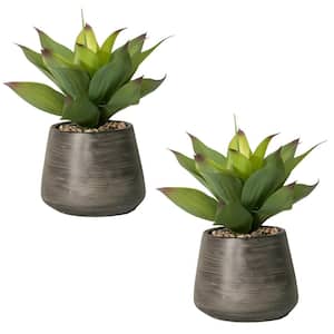 16 in. Tall Green Artificial Agave Plant in Cement Vase (2-pack)