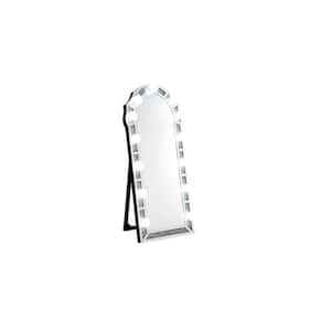 27 in. W x 63 in. H Acrylic Silver Standing Mirror