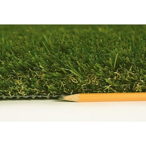 Premium Turf 5 ft. x 7 ft. Green Artificial Grass Rug
