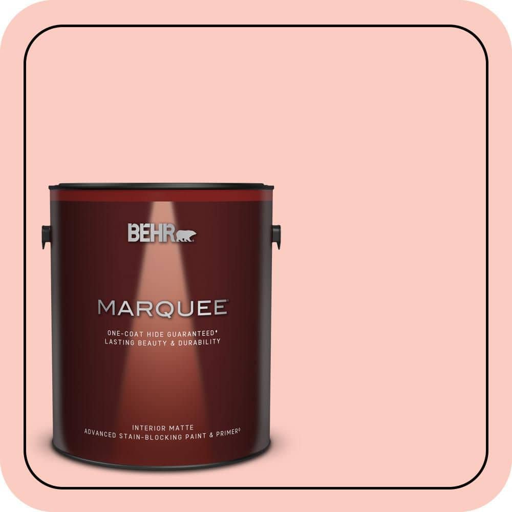 1 gal. #170A-2 Strawberry Mousse Matte Interior Paint & Primer price history on PriceWatchPro