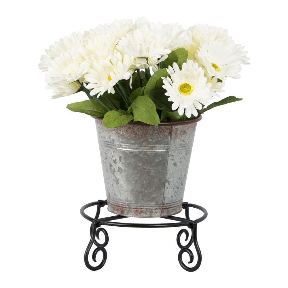 Black Wrought Iron Circular Plant Stand with Scroll Legs