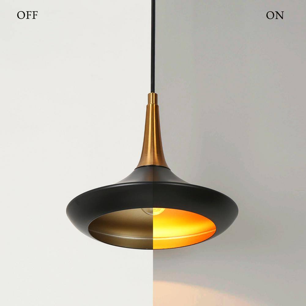 Matte Black and Brass Mini Pendant Light with Glass Shade
