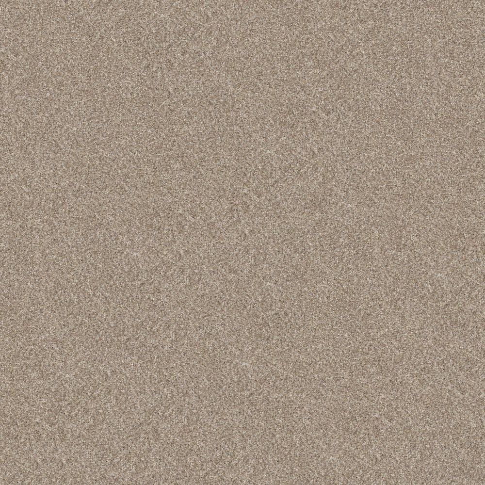 8 in. x 8 in. Texture Carpet Sample - Cuddle Cakes I - Color Daytona Sand price history on PriceWatchPro