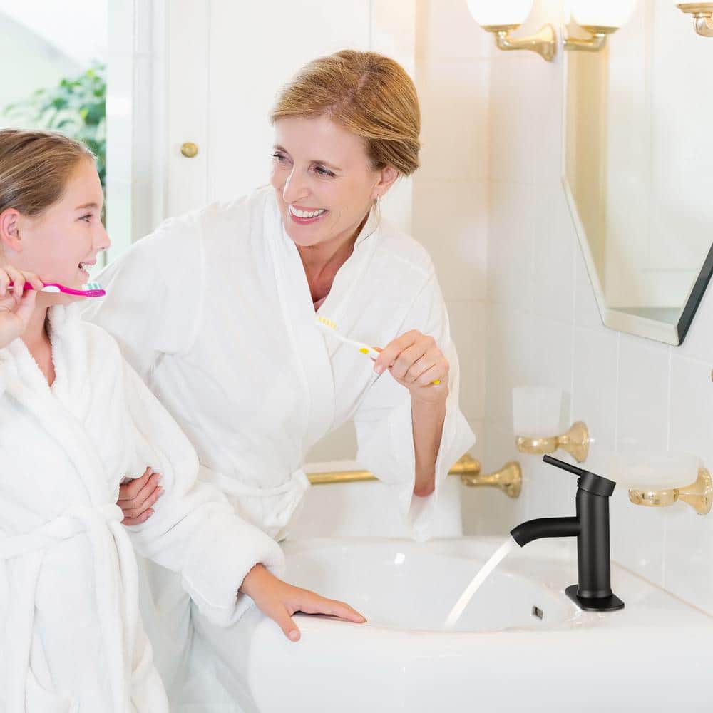 Matte Black Stainless Steel Single Handle Bathroom Faucet