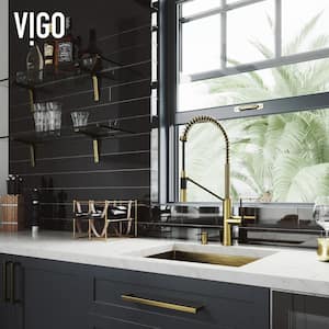 Livingston Single Handle Pull-Down Sprayer Kitchen Faucet Set with Soap Dispenser in Matte Brushed Gold