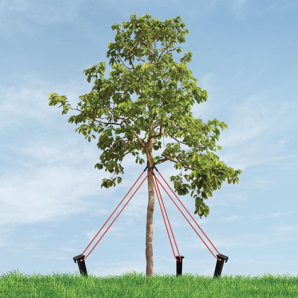 Heavy Duty Plastic Tree Staking Kit with Rope