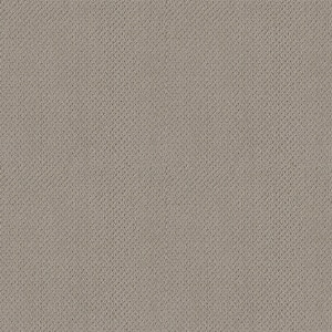 Lightbourne - Color Dove Indoor Loop Gray Carpet