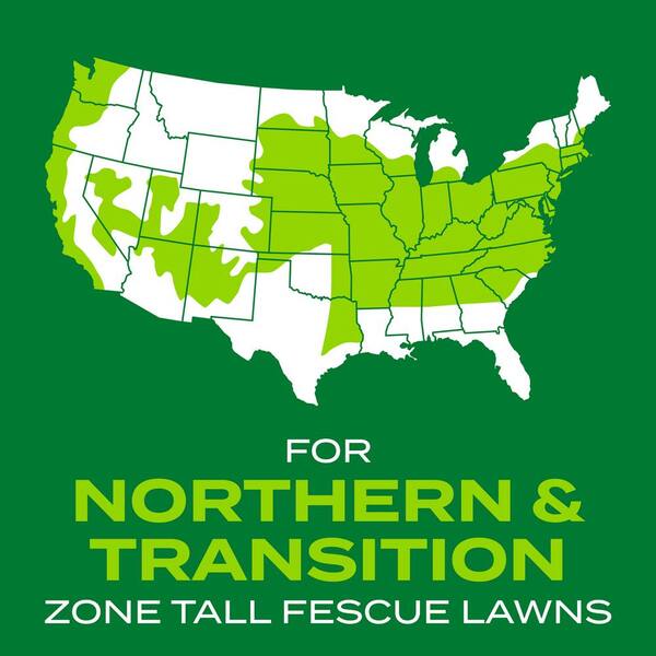Turf Builder 5.6 lbs. Rapid Grass Tall Fescue Mix Combination Seed and Fertilizer Grows Green Grass in Just Weeks