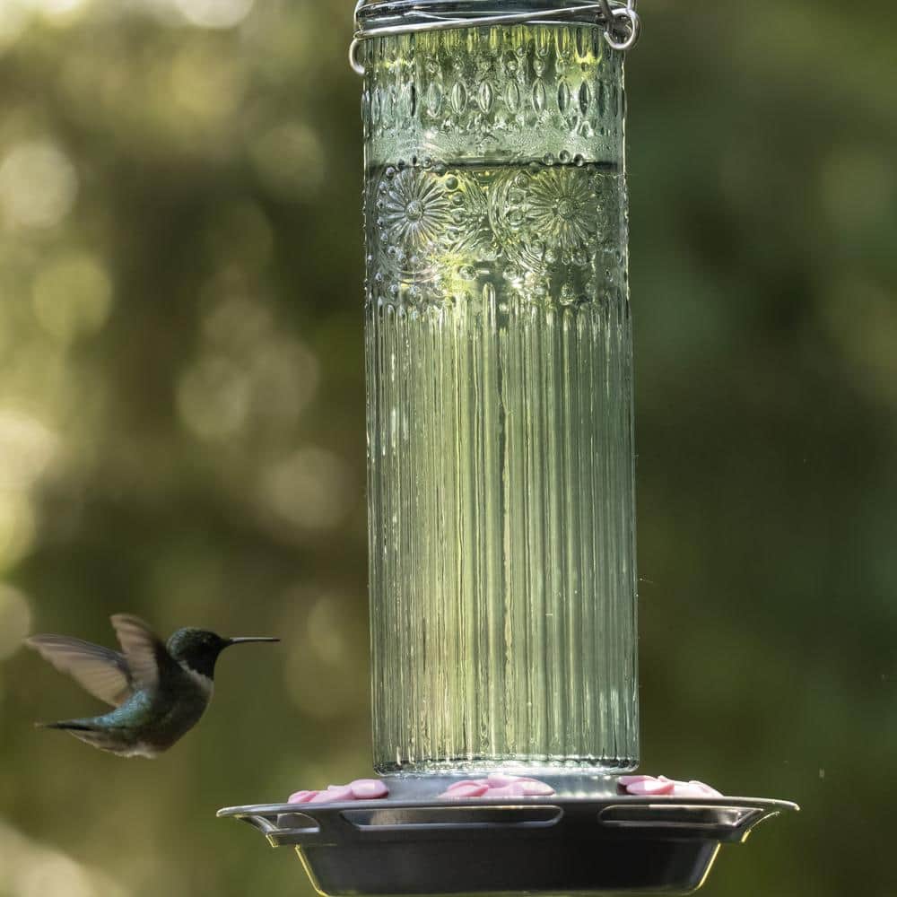 Teal Antique Glass Hanging Hummingbird Feeder with Pink Ports