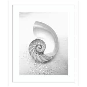 "Pearl Nautilus Shell Cut In Half" 1-Piece Wood Framed Black and White Nature Photography Wall Art 17 in. x 14 in.