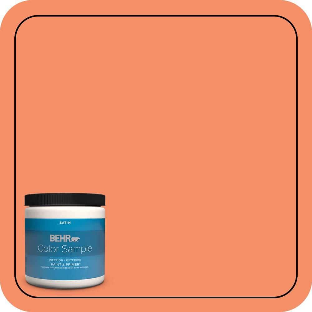8 oz. #210B-5 Tangerine Dream Satin Enamel Interior/Exterior Paint & Primer Color Sample price history on PriceWatchPro