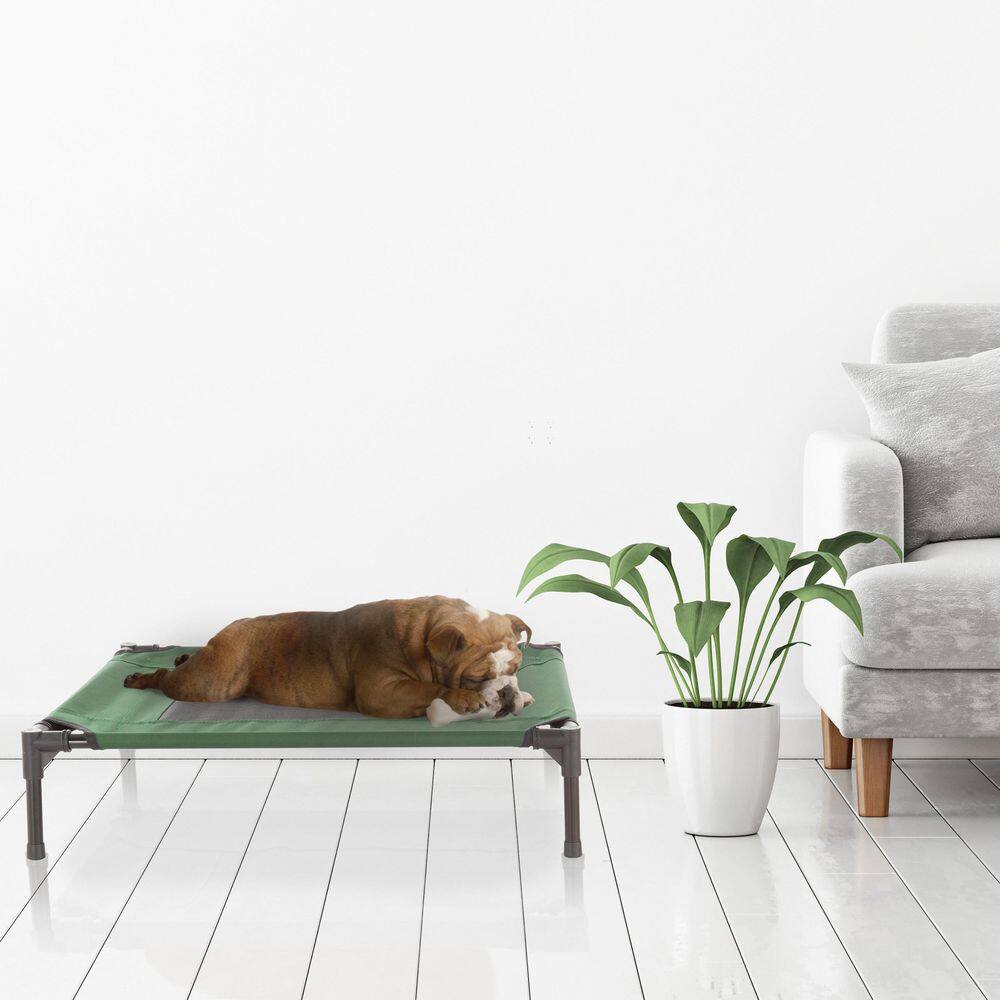 Medium Green Elevated Waterproof Outdoor Pet Bed