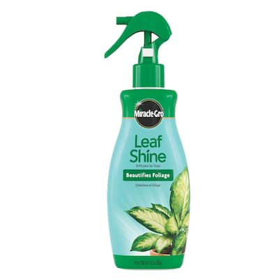 Leaf Shine Spray 8 fl. oz. Cleans Hard-Leaved Foliage Plants, Liquid Plant Fertilizer