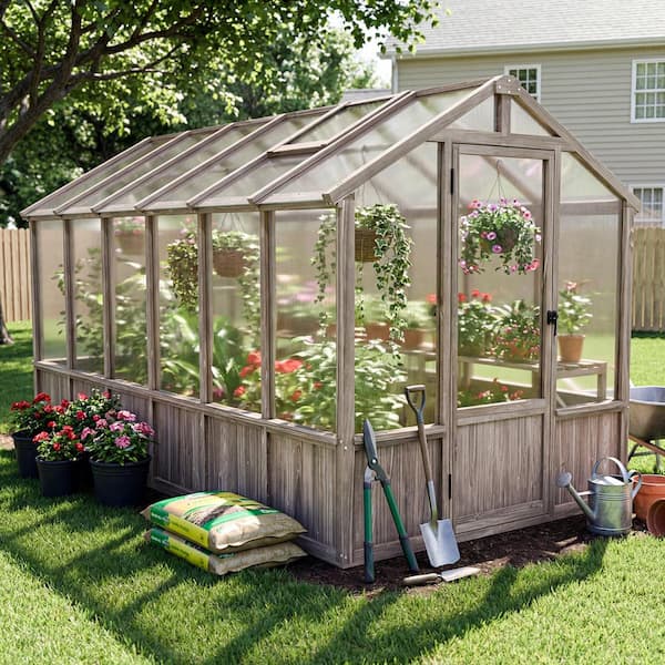 Secretree 6 ft. W X 12 ft. D Premium Cedar Wood Greenhouse with