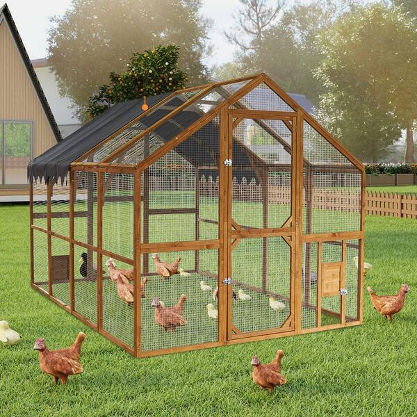 110 in. Large Yellow Wood Outdoor Chicken Coop Enclosures Kitten
