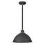 https://images.thdstatic.com/productImages/dc18362e-8f6d-4d97-aadc-a93987b78b47/svn/textured-black-hinkley-lighting-outdoor-pendant-lights-10685tk-64_65.jpg