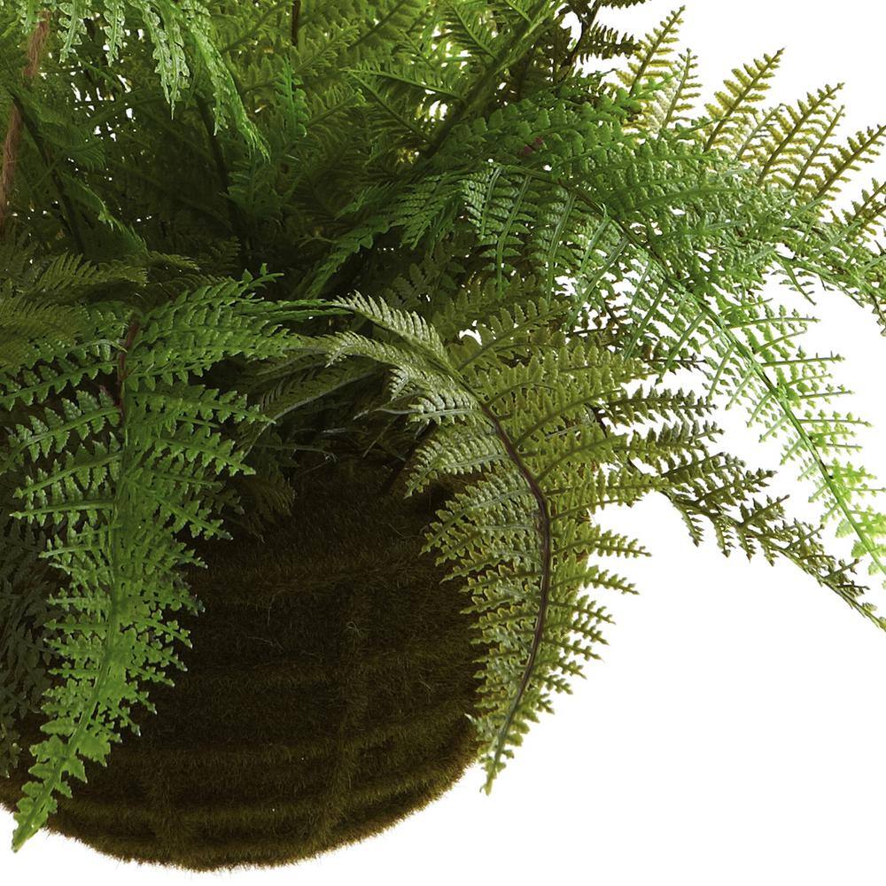 Evergreen Fern Duo in Mossy Plastic Hanging Baskets for Indoor/Outdoor
