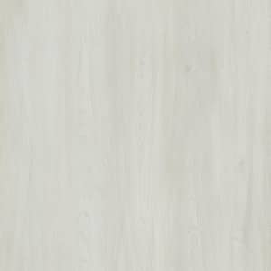 GlueCore Whitewood 22 MIL x 7.3 in. W x 48 in. L Glue Down Waterproof Luxury Vinyl Plank Flooring (39 sqft/case)