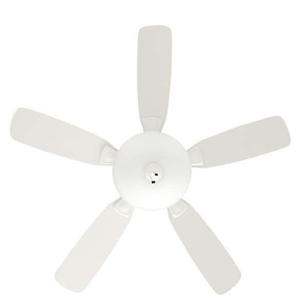 Hunter - Low Profile 48 in. Indoor White Ceiling Fan with Light Kit
