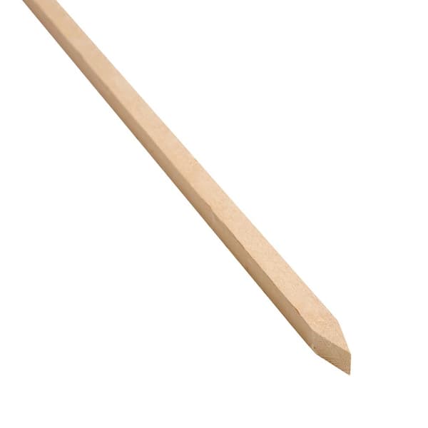 6 ft. Pine Garden Plant Stake (16-Pack)