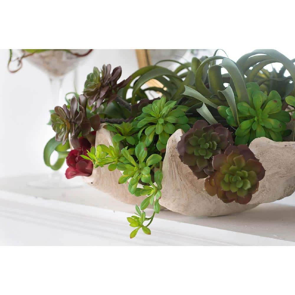 Set of 6 Green Faux Double Dudleya Succulents