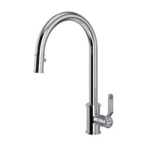 Armstrong Single Handle Pull Down Sprayer Kitchen Faucet in Polished Chrome