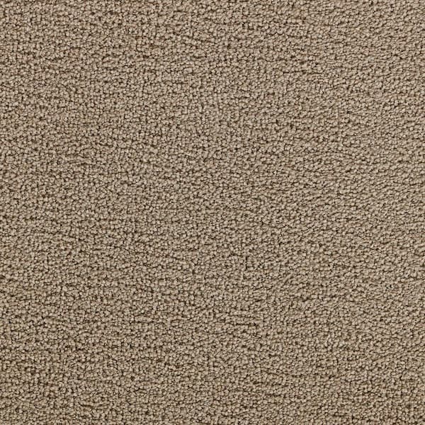 Beaulieu Carpet Sample - Sandhurt - In Color Porch 8 in. x 8 in.