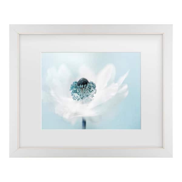 Trademark Fine Art Jacky Parker Candy Floss Matted Framed Photography Wall Art 13 in. x 16 in.