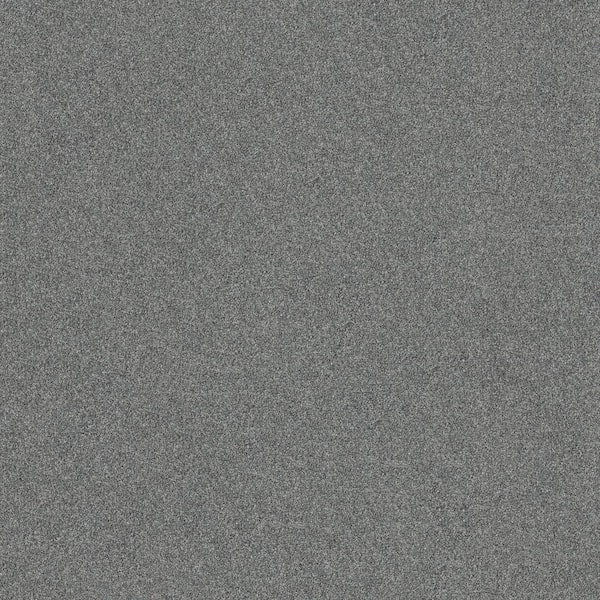 Home Decorators Collection Vacation Waterfall Blue 42 oz. SD High Performance Polyester Texture Installed Carpet