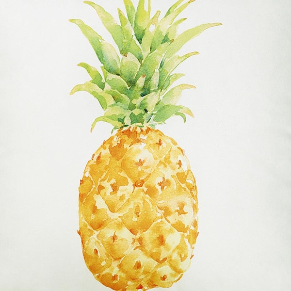 Home depot 2024 pineapple pillow