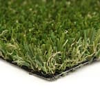 PET-MULTIPLAY 12 ft. Wide x Cut to Length Green Artificial Grass Turf