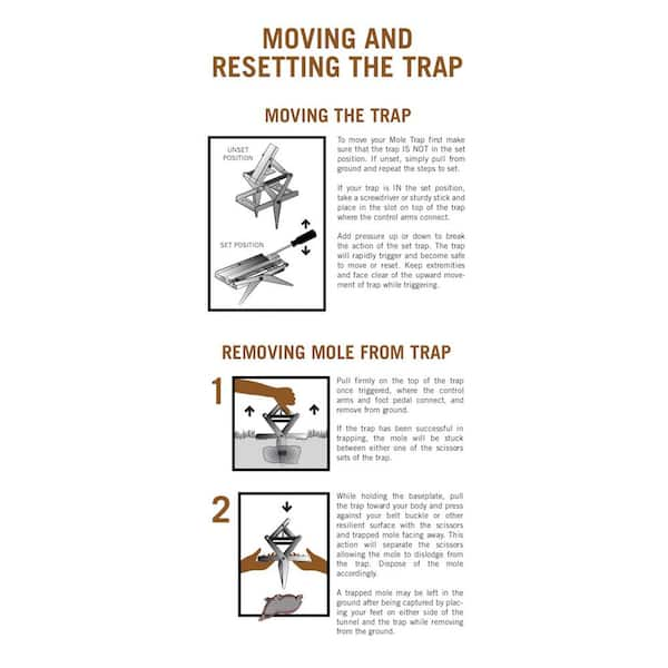 Mole Control: DIY Trap Construction