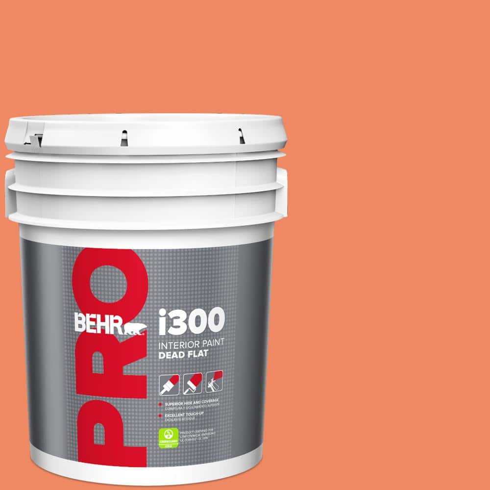 5 gal. #P190-5 Orioles Dead Flat Interior Paint price history on PriceWatchPro