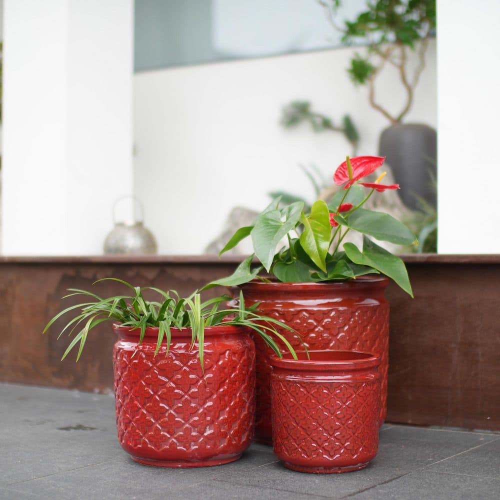 マテ壺　CAMIONERO PREMIUM RED GOGEXX Set of 3 13 in. Flared Bean Paste Red Ceramic Flower Pot