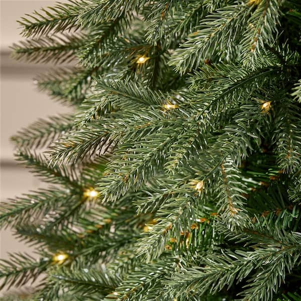 7.5 jackson noble fir