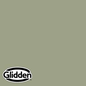 Glidden Premium 1 gal. PPG1126-5 Zebra Grass Satin Exterior Latex Paint ...