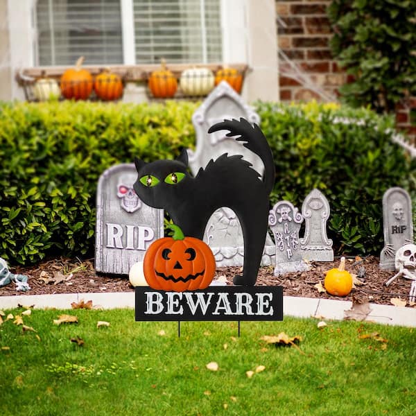 Scaredy-cat switches this Halloween – The Paw