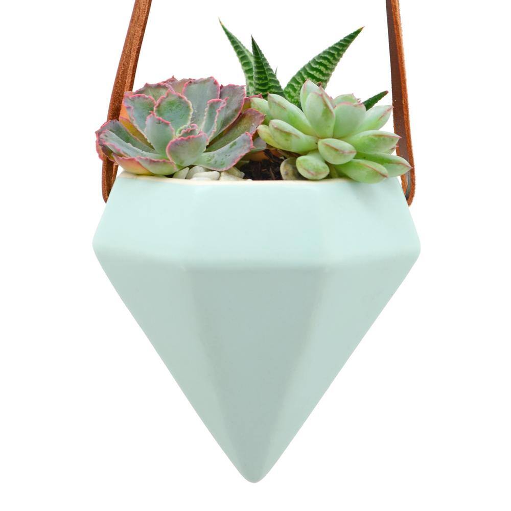 Guilford Pastel Mint Diamond Ceramic Hanging Planter