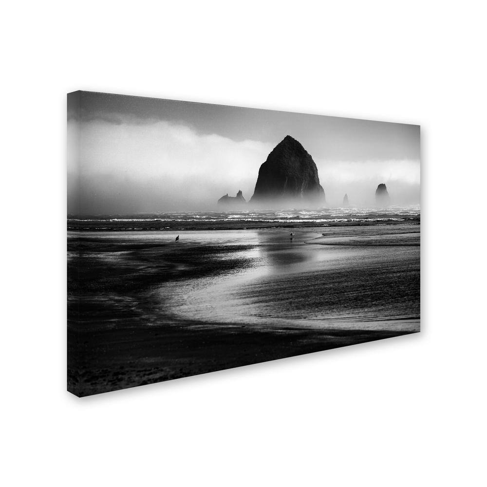 Cannon Beach Black and White Canvas Art with Floater Frame