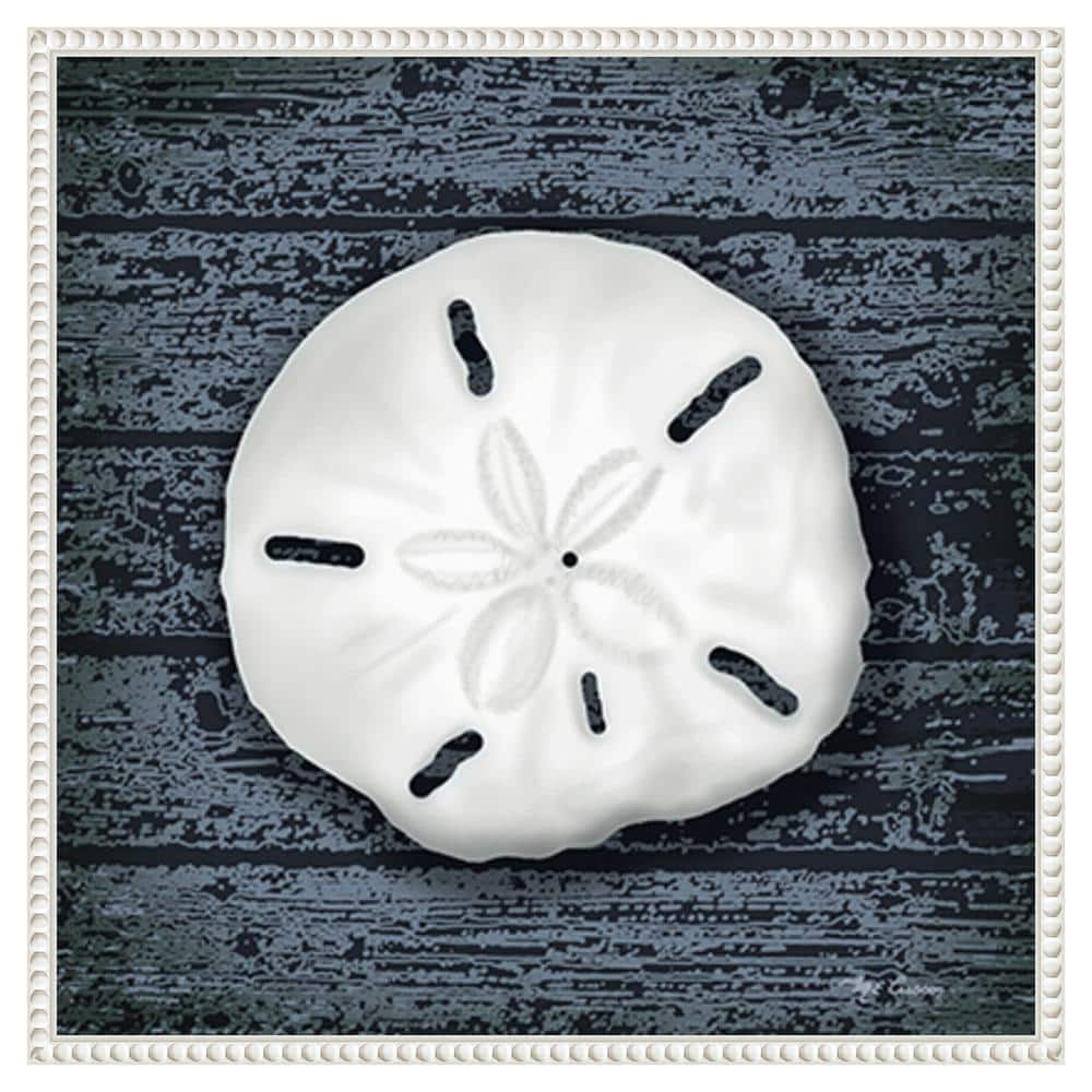 Seashore Shells Navy II White Floater Frame Canvas Print