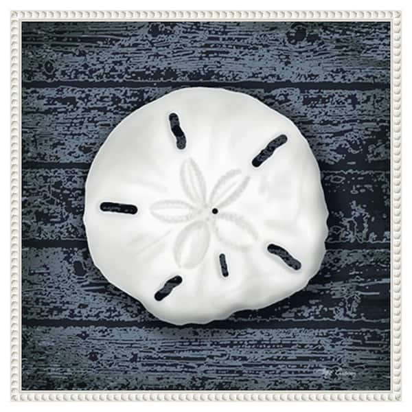 Amanti Art Seashore Shells Navy II by Marie Elaine Cusson 22-in. W x 22-in. H. Canvas Wall Art Print Framed in White