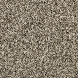 8 in. x 8 in. Texture Carpet Sample - Barx I -Color Paper Moon
