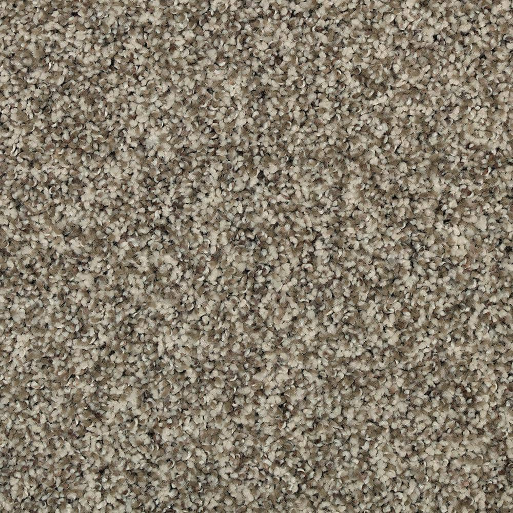 Lifeproof with Petproof Technology 8 in. x 8 in. Texture Carpet Sample ...