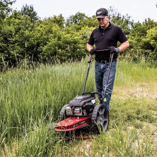 Earthquake 22 in. Cutting Width with 160cc 4-Cycle, Gas Viper